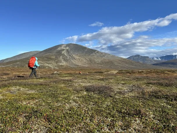 berglandschapnoordzweden