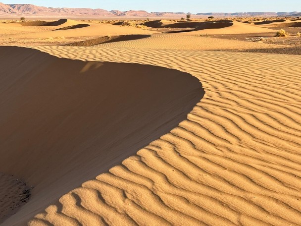 goudenzandduinenindewoestijn