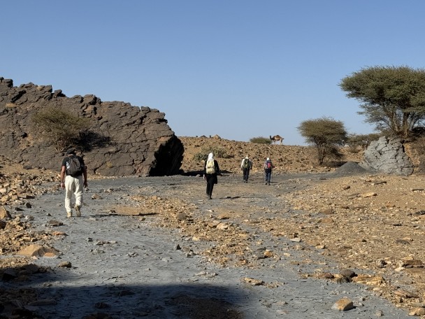 lopeninstiltewoestijn