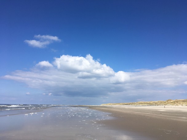 oneindigehorizon_copy1