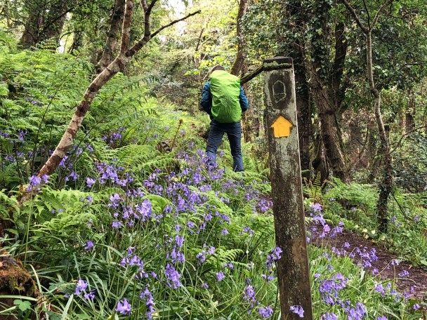 parcifaltocht2_copy1