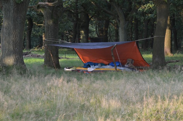 slapenondereenzeiltje