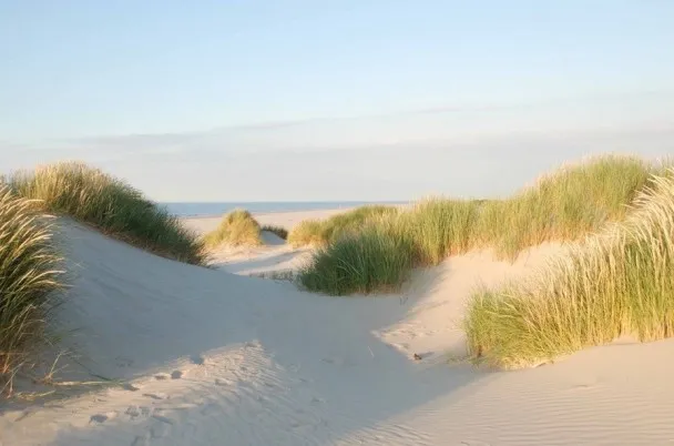 stilteweekend_schiermonnikoog_copy1