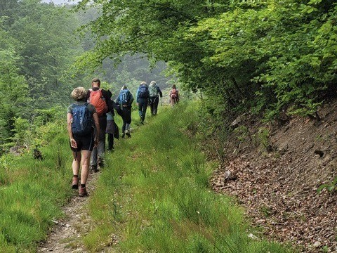 wildernistocht_ardennen34_2