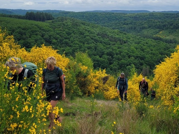 wildernistocht_ardennen35