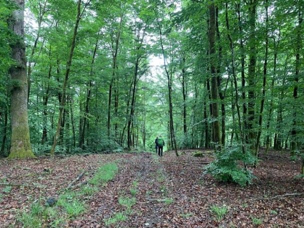 wildernistocht_ardennen37