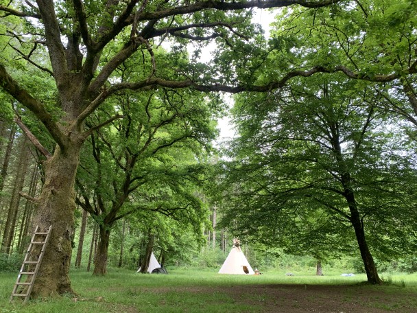 wildernistocht_ardennen47