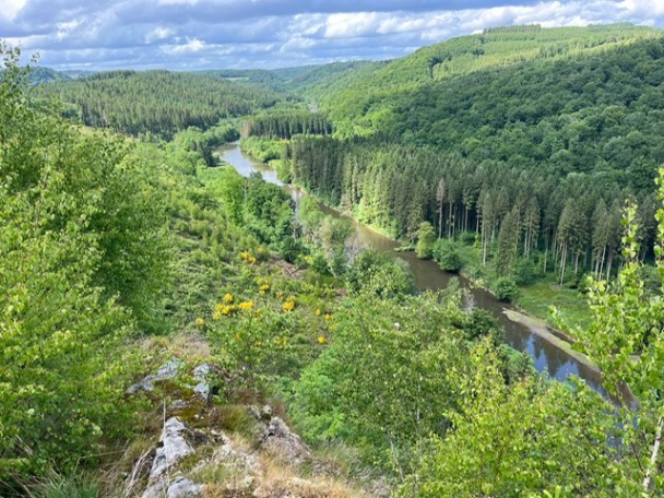 wildernistocht_ardennen64
