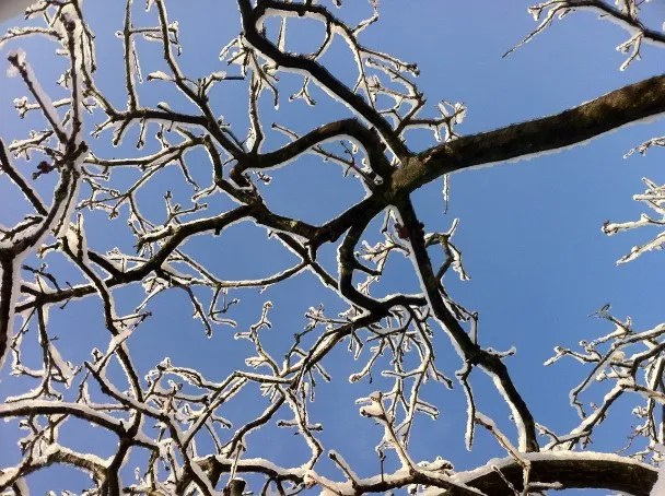 winterseizoenen