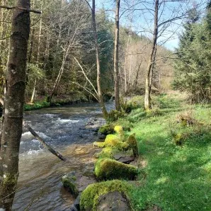 Wildernistocht Ardennen        (Garant vertrek)